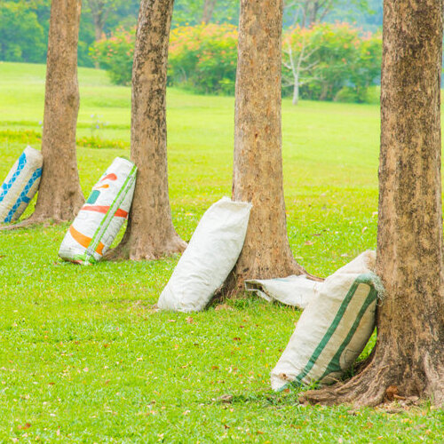 Trees and Bags of Fertilizer