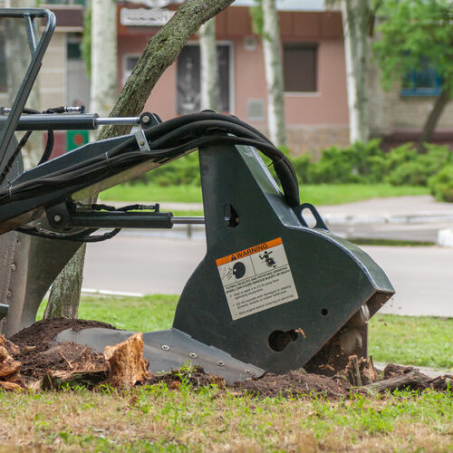 A Machine is Used to Remove a Tree Stump.