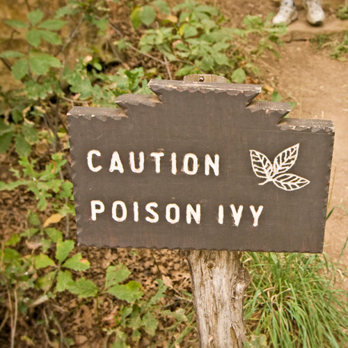Sign warning of poison ivy.