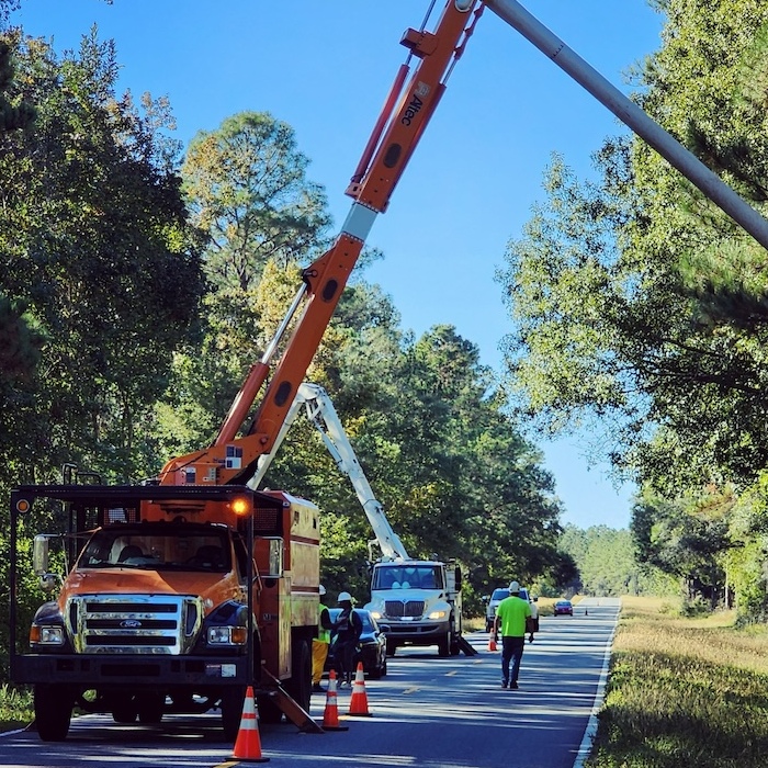 A large crane is removing a dead tree from the side of a local road.