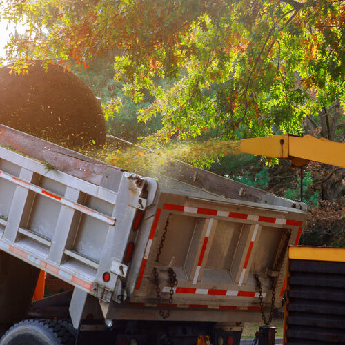 Wood chipper blowing tree branches cut a portable machine used for reducing wood into the back of a truck.